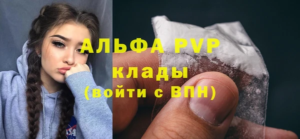 ПСИЛОЦИБИНОВЫЕ ГРИБЫ Ельня