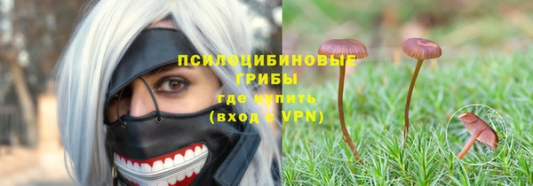дживик Елабуга