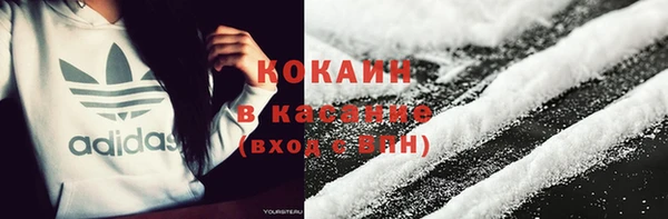 ПСИЛОЦИБИНОВЫЕ ГРИБЫ Ельня