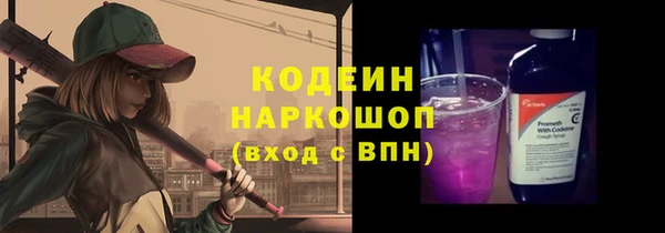 ПСИЛОЦИБИНОВЫЕ ГРИБЫ Ельня