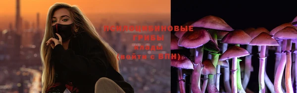 ПСИЛОЦИБИНОВЫЕ ГРИБЫ Ельня