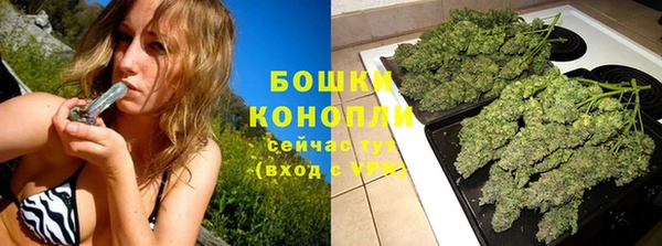 ПСИЛОЦИБИНОВЫЕ ГРИБЫ Ельня