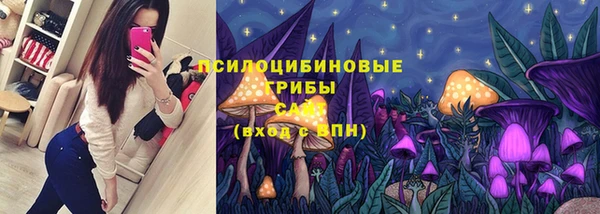 дживик Елабуга