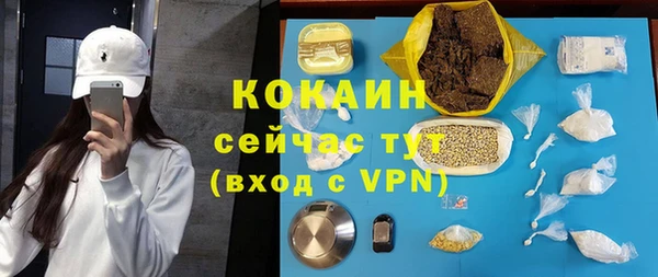 ПСИЛОЦИБИНОВЫЕ ГРИБЫ Ельня