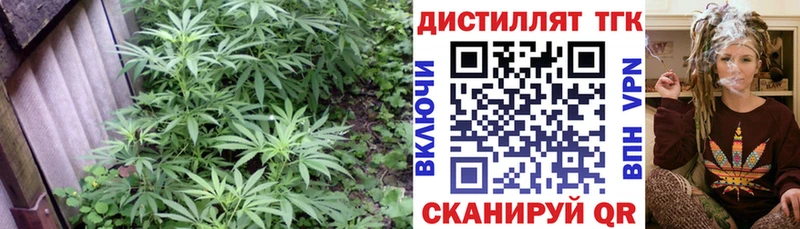 Купить  Козьмодемьянск  Дистиллят ТГК вейп 
