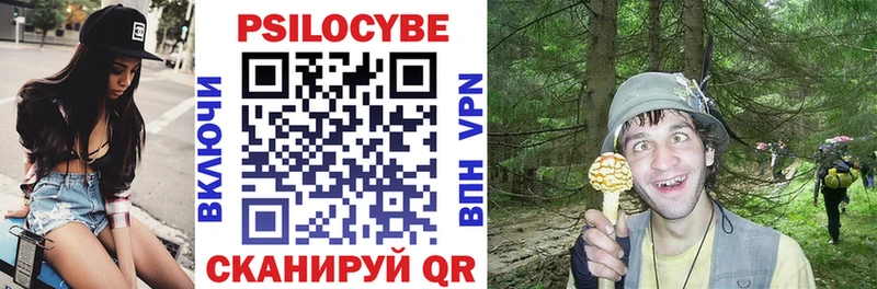 Псилоцибиновые грибы Cubensis  Купить где  Козьмодемьянск 