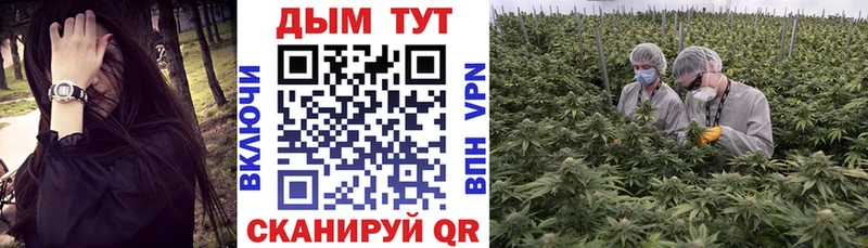 Конопля план  Купить где  Козьмодемьянск 
